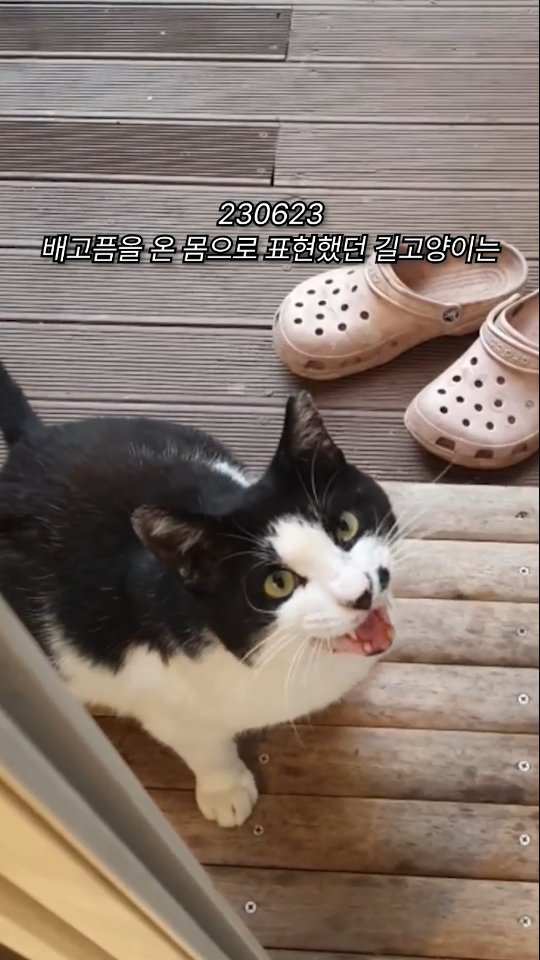 kongs3obang 게시물 이미지: 변했어