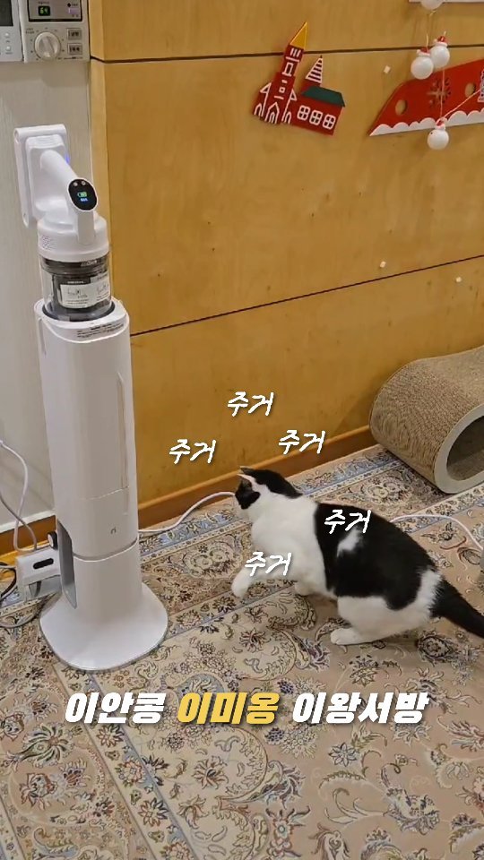 kongs3obang 게시물 이미지: 미옹이의 심기를 건드려서는 안 돼