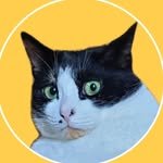 ggi__cats 프로필 사진