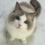 ho_rang2_ 프로필 사진