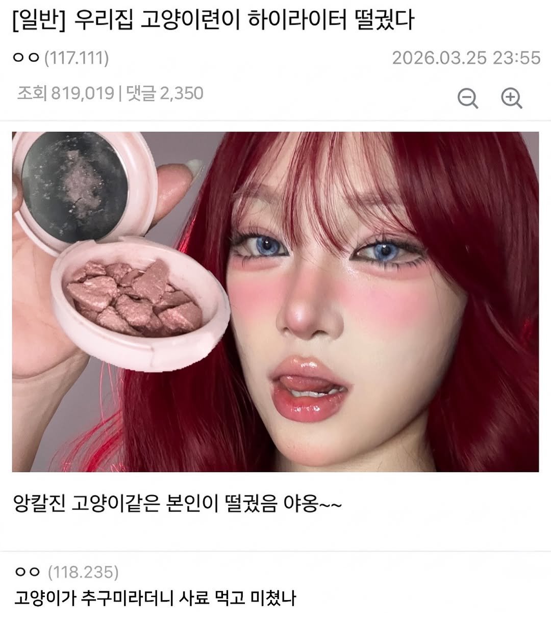 Photo by 콩현숙 in 고양이. May be an image of one or more people, lipstick and text that says 'oo (117.111) [일반] 우리집 고양이련이 하이라이터 떨줬다 조회819,019|댓글2,350 조회 819,019| 댓글 2,350 2026.03.25 23:55 앙칼진 고양이같은 본인이 떨웠음 야용~~ oo (118.235) 고양이가 추구미라더니 사료 먹고 미쳤나'.