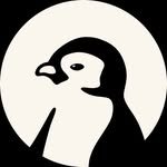 konny_kr 인스타그램 프로필 사진