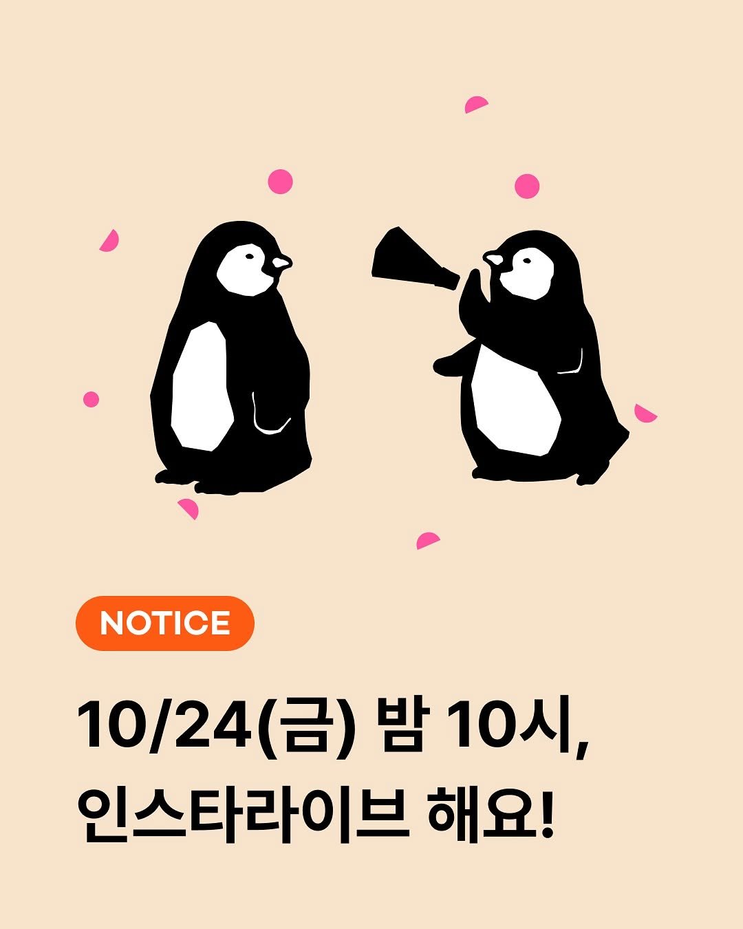 Photo by Konny l 코니 on October 22, 2025. May be a doodle of text that says 'NOTICE 10/24 (금) 밤 10시, 인스타라이브 해요!'.