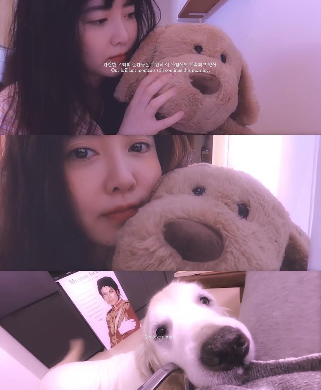 Photo by 구혜선 on February 12, 2026. May be an image of cocker spaniel, golden retriever and text.