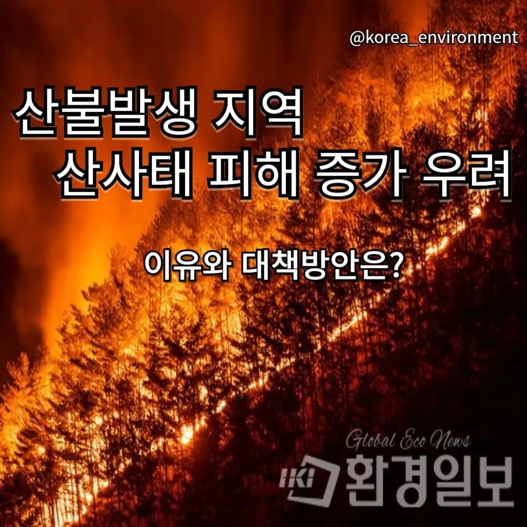 korea_environment 게시물 이미지: ✅️산불발생지역 산사태 피해 증가 이유
 : 산불이 발생하면 지표면을 덮고 있던...