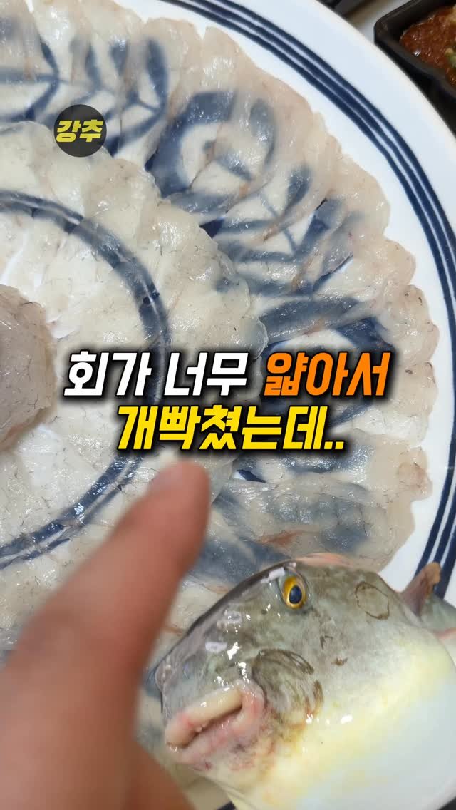 korea_kangchu 게시물 이미지: 사장님 이건 회가 너무 얇은 거 아니에요..?

#강릉다물선횟집
📍강원 강릉시...
