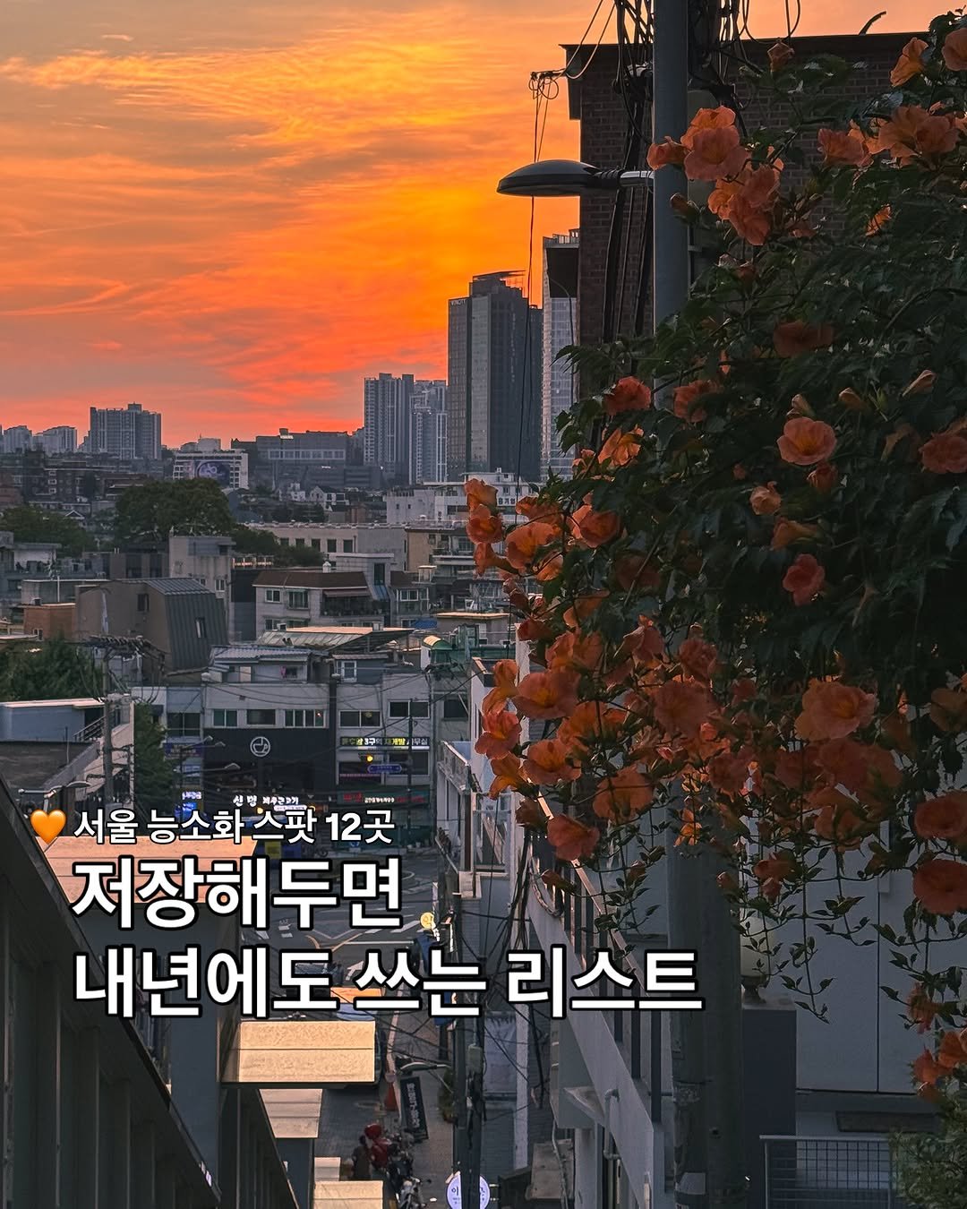 korea_soo_02 게시물 이미지: 🧡서울 능소화 스팟 12곳

지금은 물론,
내년에도 다시 꺼내볼 수 있도록
서울...