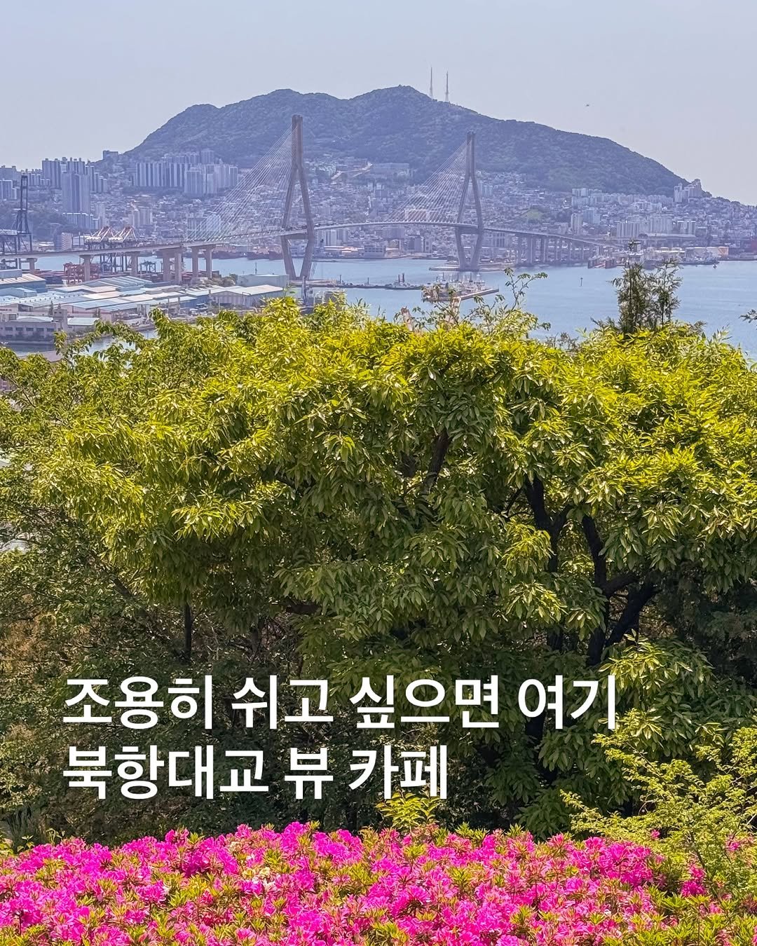 korea_soo_02 게시물 이미지: 부산에서 조용히 쉬기 좋은 카페☕️

북항대교 뷰 보면서 
여유롭게 시간 보내기...