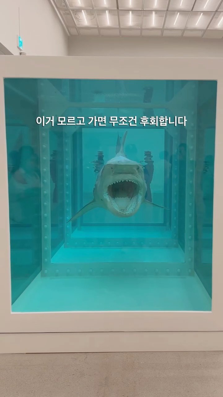 korea_soo_02 게시물 이미지: 서울에서 지금 제일 화제인 전시 👀 

호불호 갈리는 전시인데 
직접 보면 생각보다...