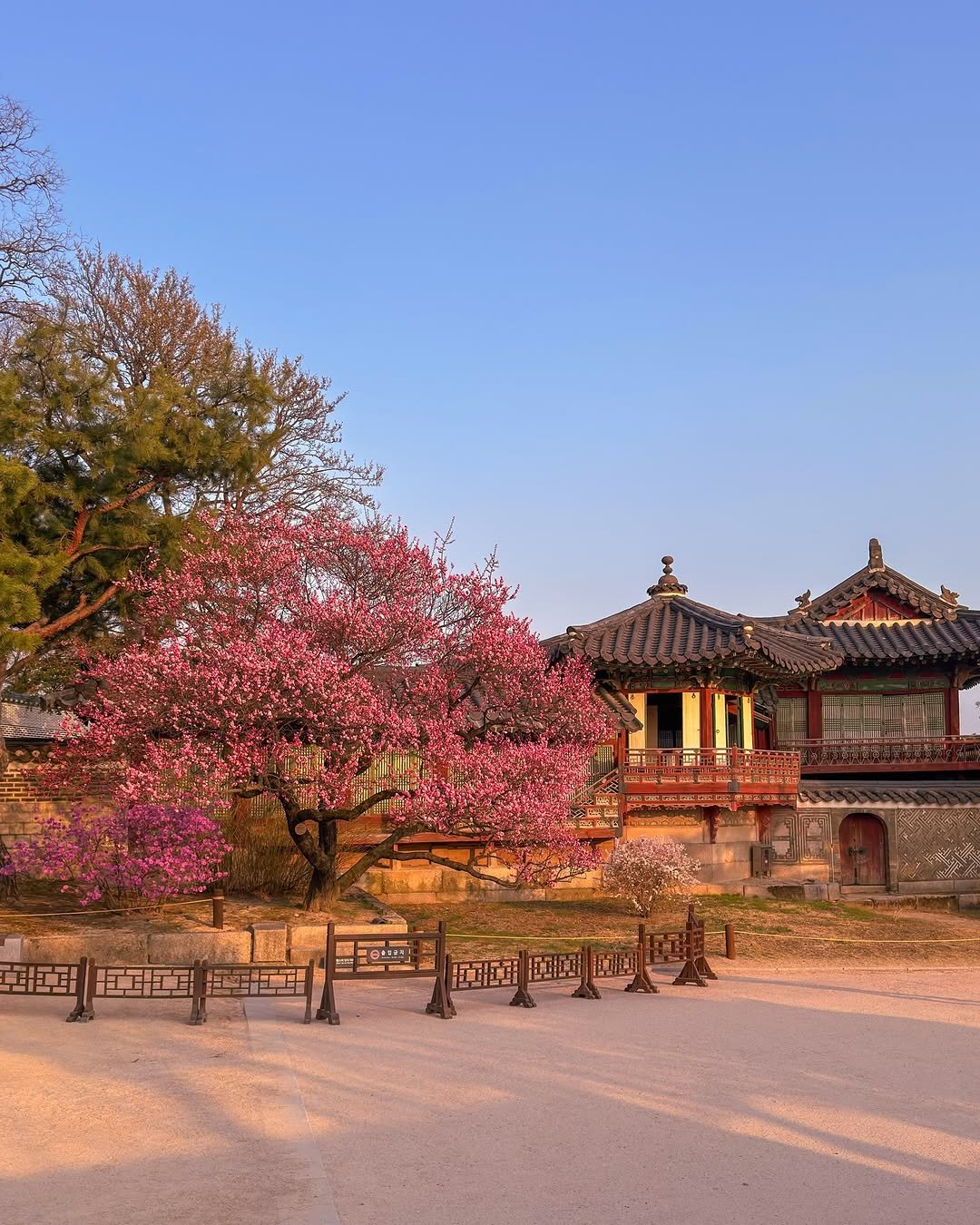 Photo by 정수영 | 서울•국내여행 on March 26, 2026. May be an image of Gyeongbokgung Palace and text.