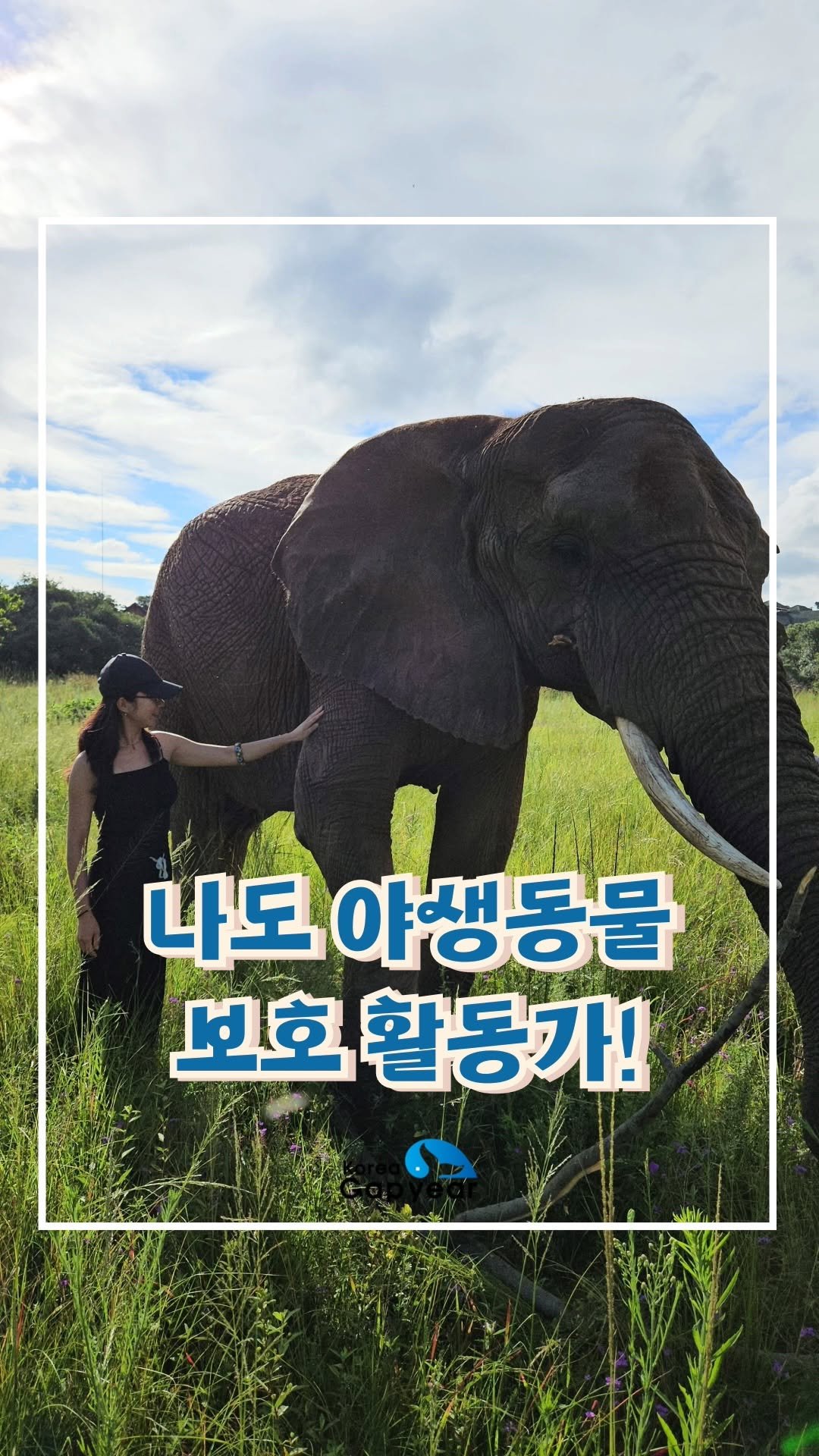 koreagapyear 게시물 이미지: 한국을 벗어나
남아프리카공화국에서
진짜 야생을 경험했어요😆

사자, 치타, 코끼리를...