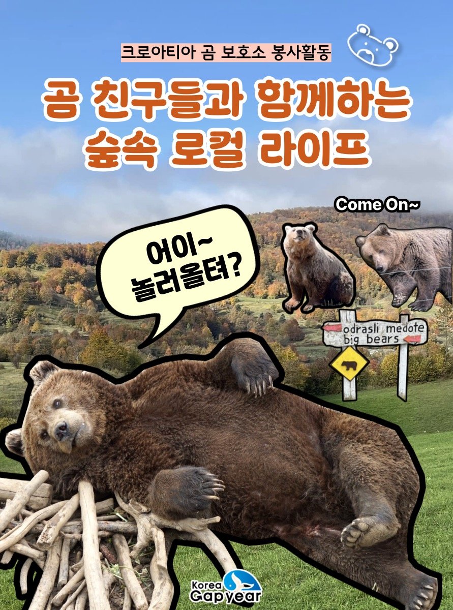 koreagapyear 게시물 이미지: 도시의 편안함을 버리고, 진짜 '나'를 찾아 떠나는 숲속 로컬 라이프 🐻

📍...