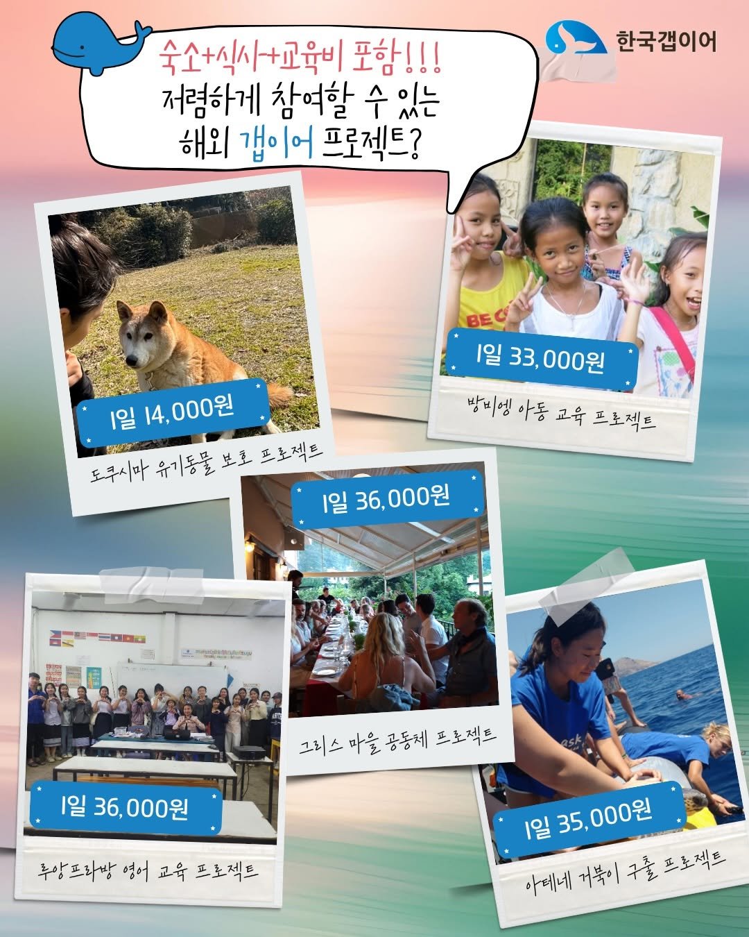 koreagapyear 게시물 이미지: 올 여름, 해외도 가고 싶고 🌍
의미 있는 경험도 하고 싶다면?
근데 비용이...
