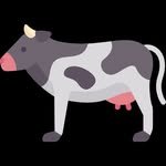 ilovemilk.kr 프로필 사진