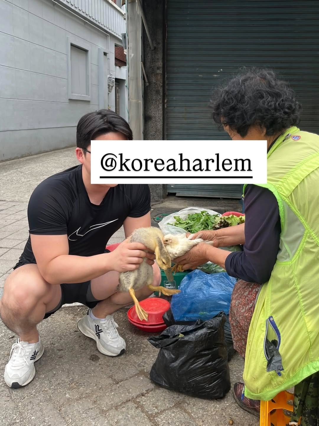 koreaharlem 게시물 이미지: 