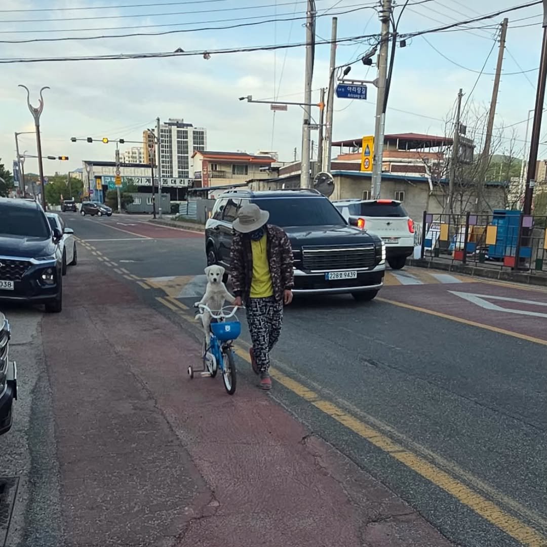 Photo by 코리아할렘 on April 25, 2026. May be an image of one or more people, segway, road, street and text.