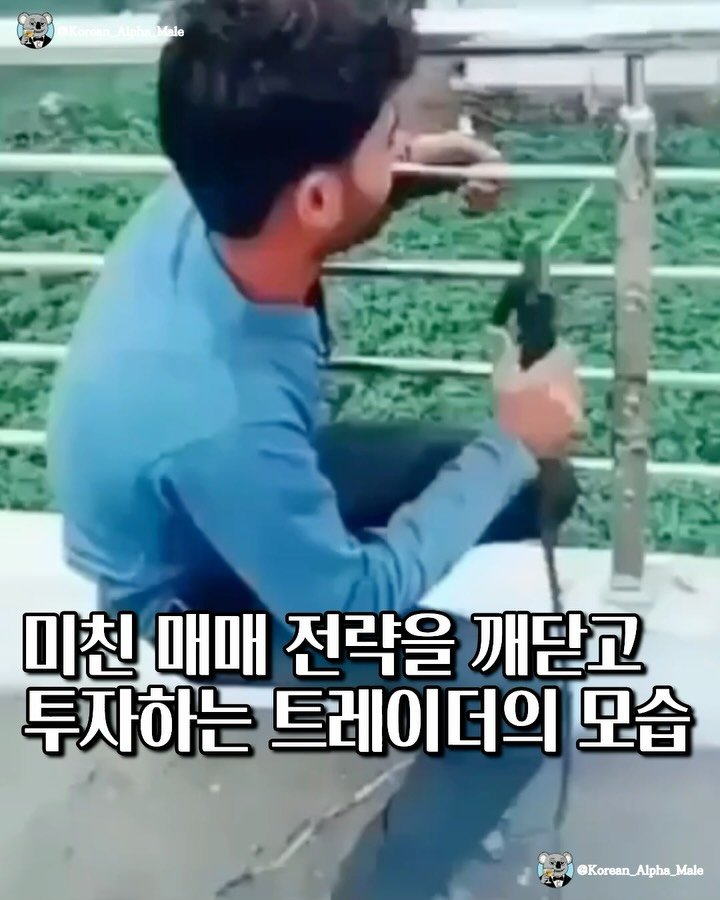 korean_alpha_male 게시물 이미지: 유레카!!!….?!