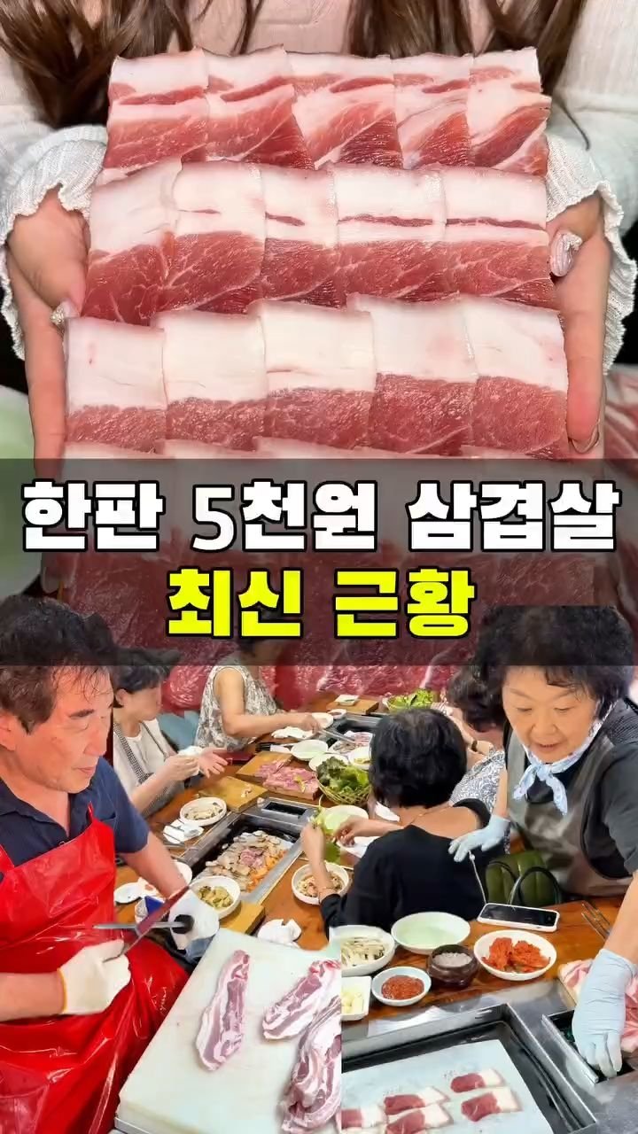 korean_foodman 게시물 이미지: #농심가식육식당
- 위치: 부산 금정구 중앙대로1926번길 19
- 메뉴: 고기...