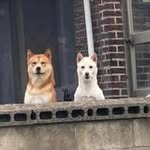 miju_gallery 프로필 사진