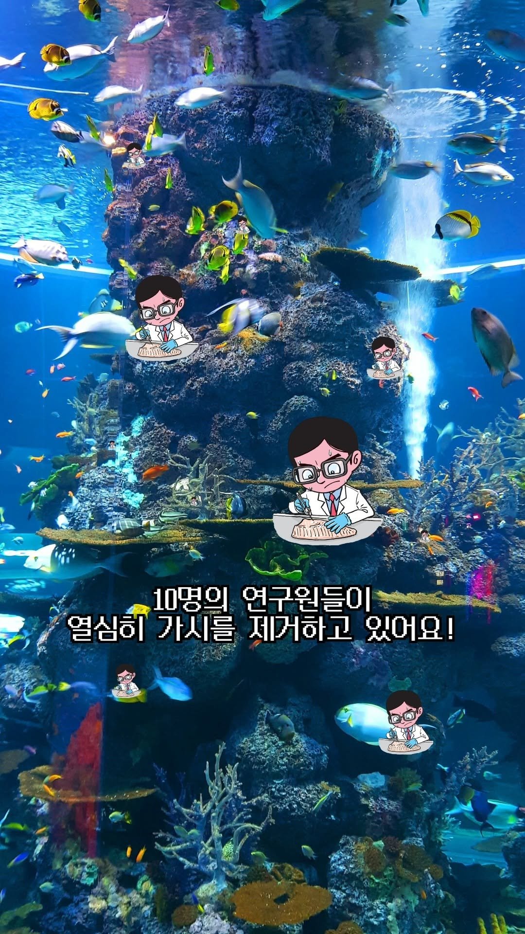 koreapelagic 게시물 이미지: 숨은 가시제거연구소 연구원을 찾아라🔎

두 눈 크게 뜨고, 집중해서
가시를 제거하고...