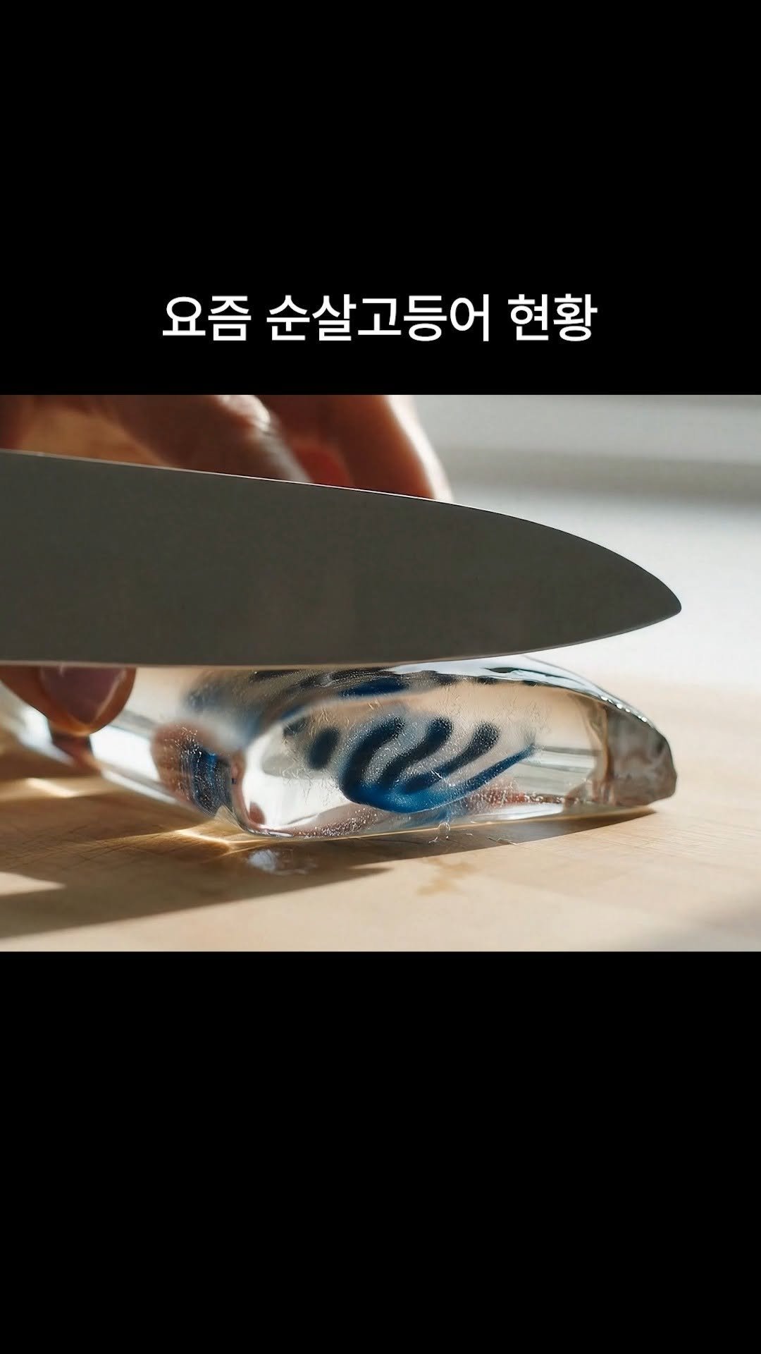 koreapelagic 게시물 이미지: 요즘 순살고등어 현황 🐟

➡️ 입에서 사르륵 녹을 정도로 부드럽습니다 👌🏻

➕...