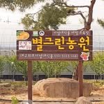 starfarmberry 프로필 사진