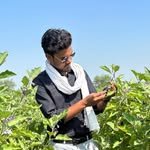 new.age.farmers 프로필 사진