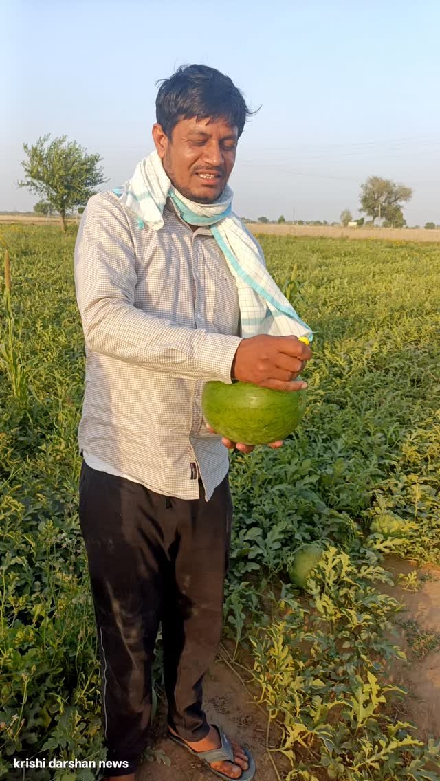 krishidarshanews 게시물 이미지: जन्नत की मन्नत  एक बार फिर 20 के पार #virel #short