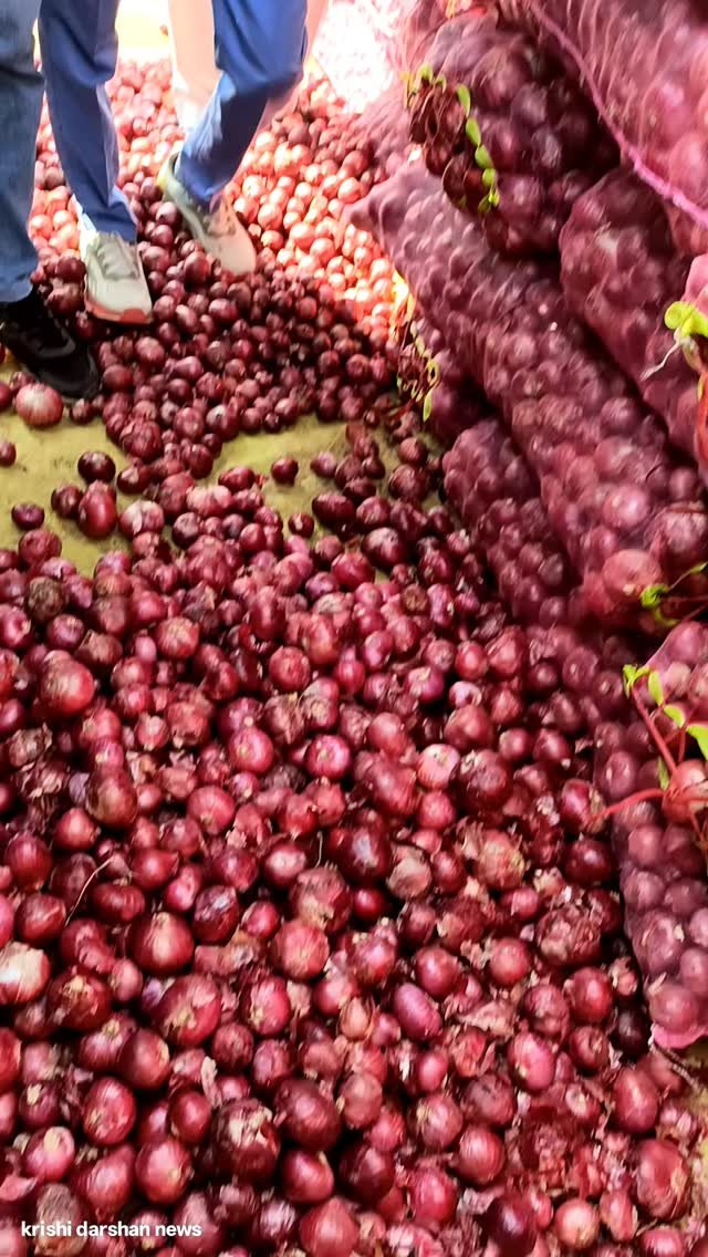 krishidarshanews 게시물 이미지: प्याज़ 🧅 का भाव #virel #short