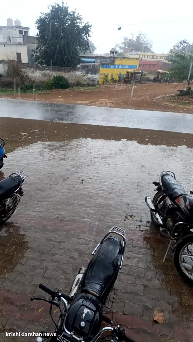 krishidarshanews 게시물 이미지: बीबिरानी में भारी बारिश ☔ #virel #short