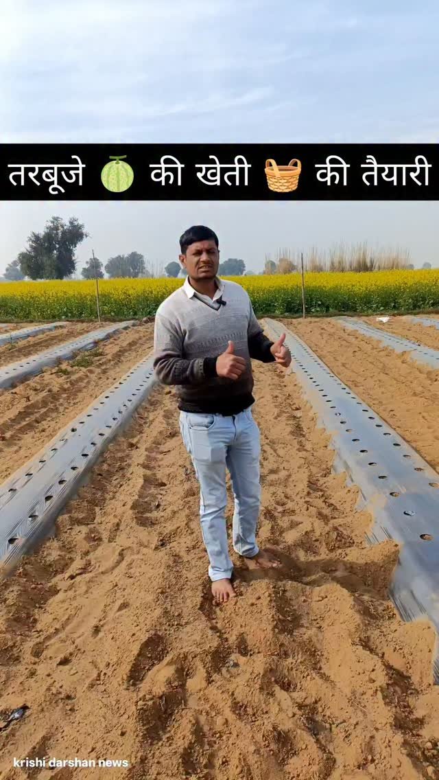 krishidarshanews 게시물 이미지: तरबूज़ 🍈 की खेती 🧺 की तैयारी #virel #short