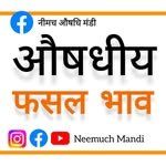 neemuch_mandibhav 프로필 사진