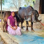 priyanka_dinu_dairy_farm 프로필 사진
