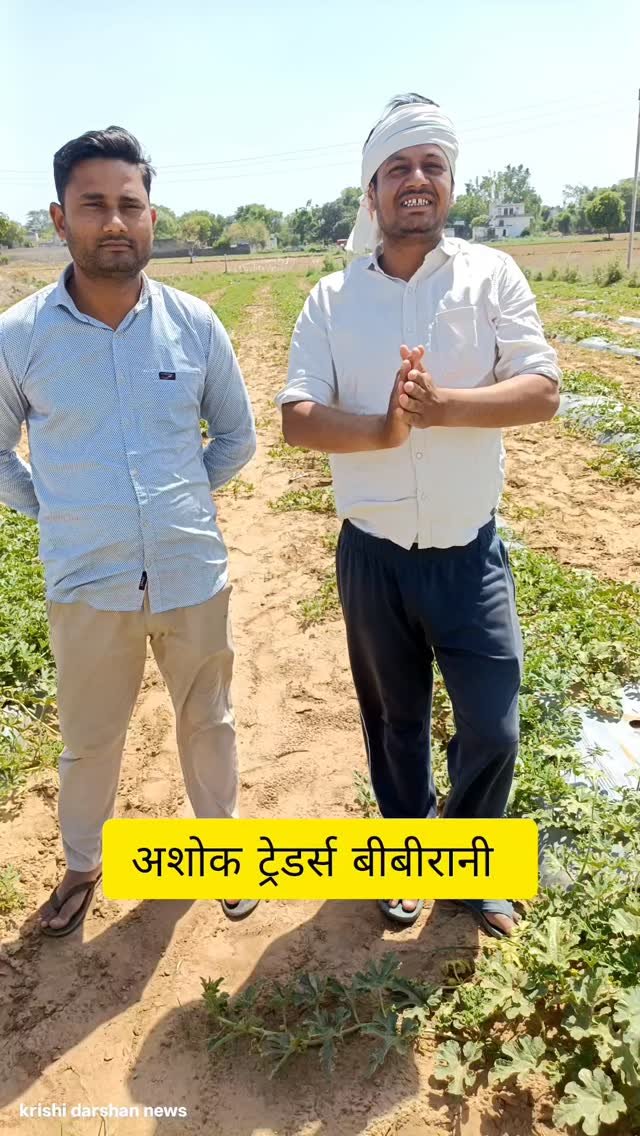 krishidarshanews 게시물 이미지: देशी टिंडे की खेती 🧺 #virel #short