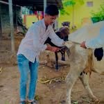 animal_lovers_3030 프로필 사진