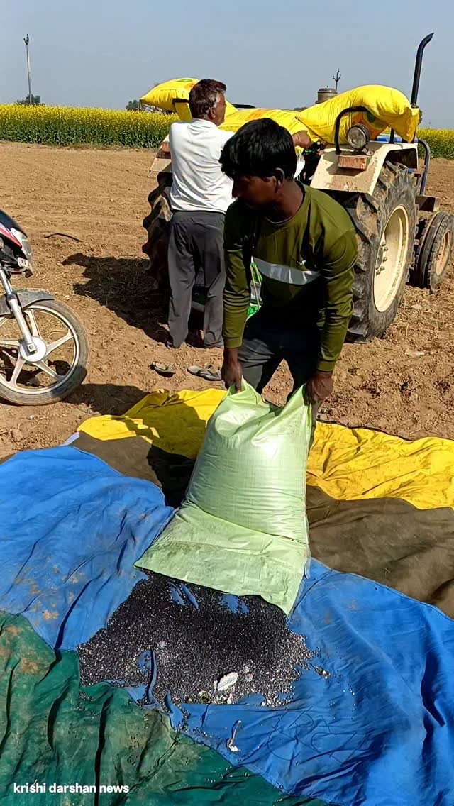 krishidarshanews 게시물 이미지: 4 बीघा खरबूजे 🍈 में बेसल डोज की तैयारी #virel #short