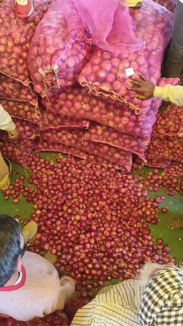 krishidarshanews 게시물 이미지: प्याज़ 🧅 की बोली #virel #short