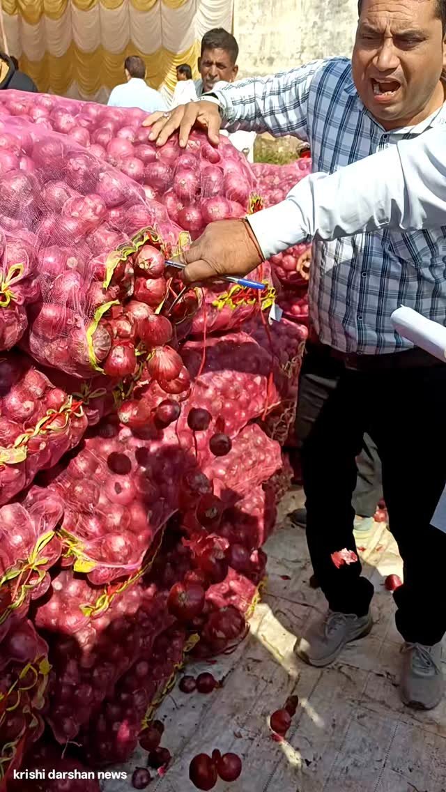 krishidarshanews 게시물 이미지: प्याज की बोली तिजारा मंडी #virel #short