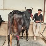 animal.lover_01_ 프로필 사진