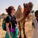 historical.journey__ 프로필 사진