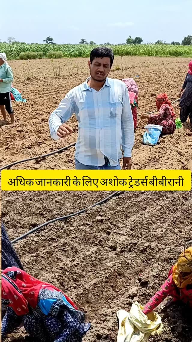 krishidarshanews 게시물 이미지: प्याज़ 🧅 की खेती #virel #short