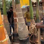 shree_ram_nursery16_777_boxer 프로필 사진