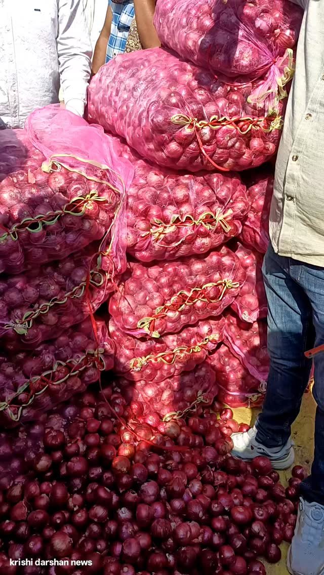 krishidarshanews 게시물 이미지: प्याज की बोली तिजारा मंडी #virel #short
