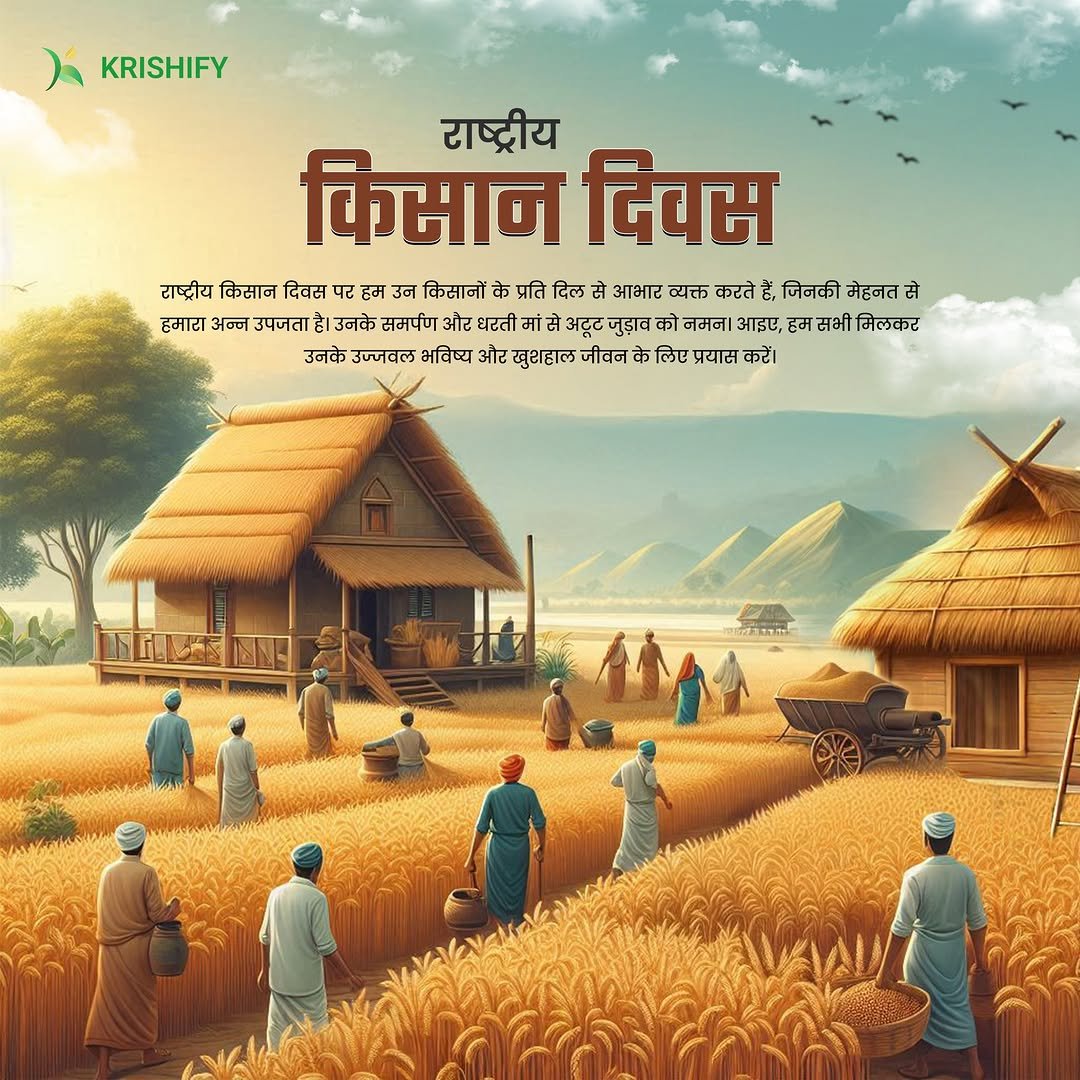 Photo by Krishify on December 22, 2024.