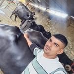 sangwaheeralal_ 프로필 사진