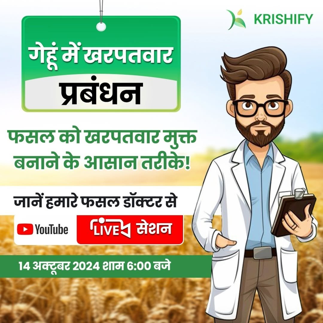 Photo by Krishify on October 14, 2024.