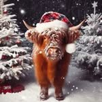 dariy_farm_809 프로필 사진