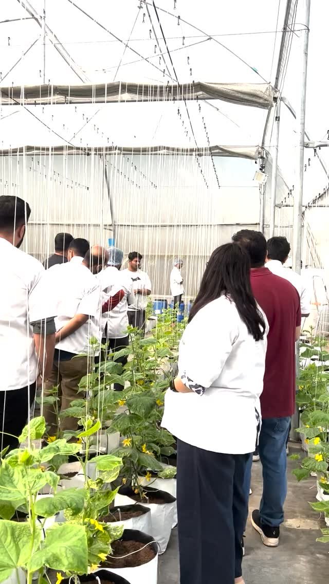 kryzen_biotech 게시물 이미지: Join our Hydroponic Farm Training! Hydroponic...