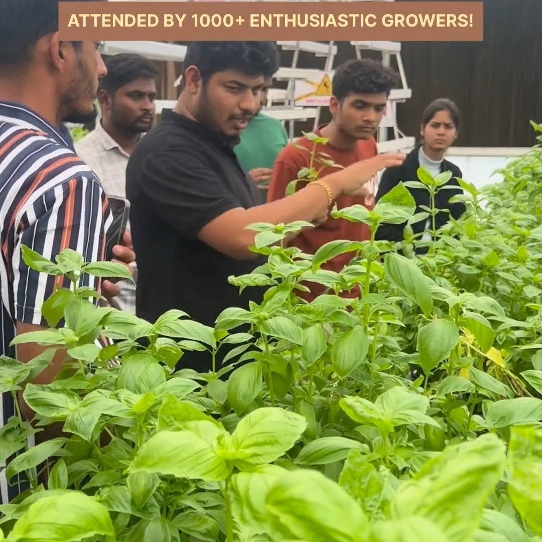 kryzen_biotech 게시물 이미지: Learn Hydroponic Farming the practical way...