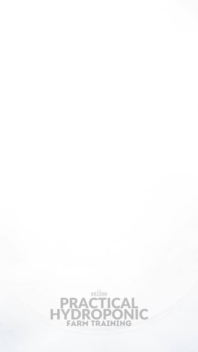 kryzen_biotech 게시물 이미지: Join our Hydroponic Farm Training! Hydroponic...